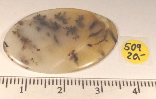 Foto Edelsteine: Mückenstein-Cabochon
