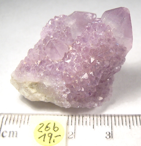 Foto Mineralien: Amethyst-Kaktus