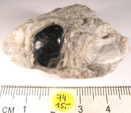 Foto Mineralien: Apachenträne in Grundgestein