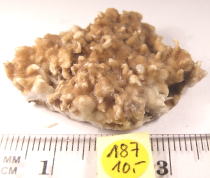 Foto Mineralien: Aragonit "Eisenblüte"