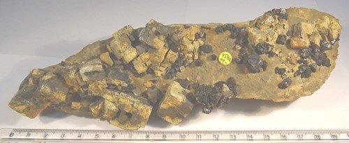 Foto Mineralien: Bleiglanz u. a. aus alter Sammlung