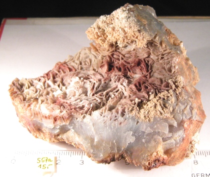 Foto Mineralien: Chalcedon aus Montana USA