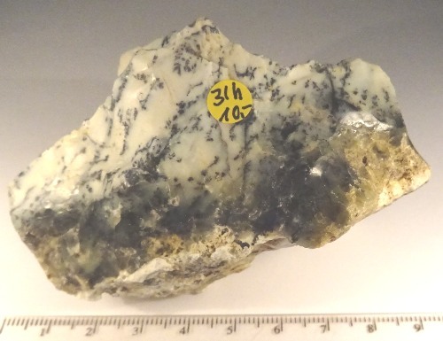 Foto Mineralien: Dendritenopal / Mückenstein-Rohstein