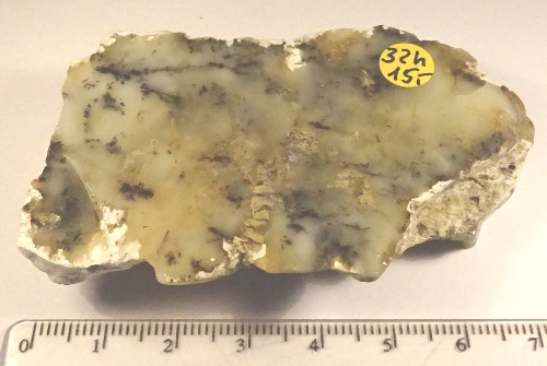 Foto Mineralien: polierter Dendritenopal / Mückenstein