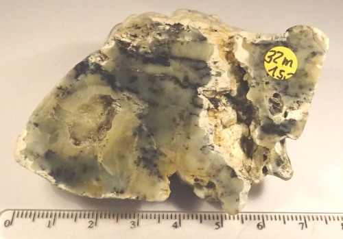 Foto Mineralien: polierter Dendritenopal / Mückenstein mit Drusen