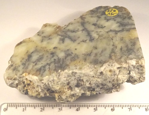 Foto Mineralien: polierter Dendritenopal / Mückenstein aus Kasachstan