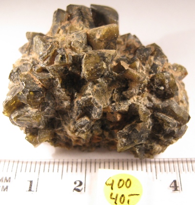Foto Mineralien: Epidot-Kristalle aus Mexiko