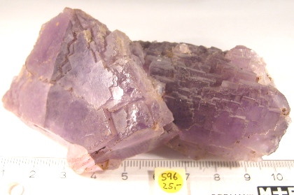 Foto Mineralien: violetter Fluorit
