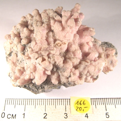 Foto Edelsteine: Rohstein Rhodochrosit