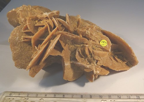 Foto Mineralien: große Sandrose