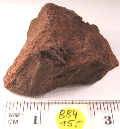 Foto Mineralien: Versteinertes Holz aus Spandau bei Berlin
