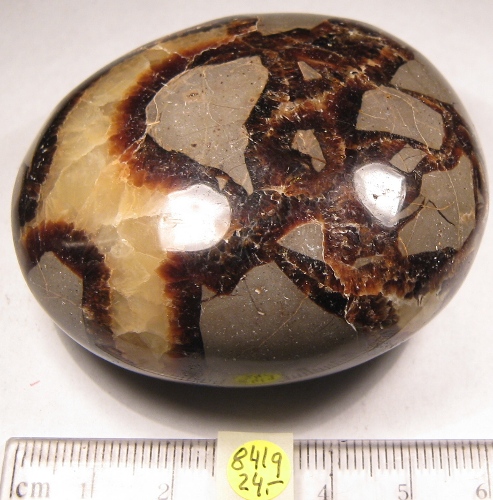 Foto Edelsteine: Trommelstein Septarie