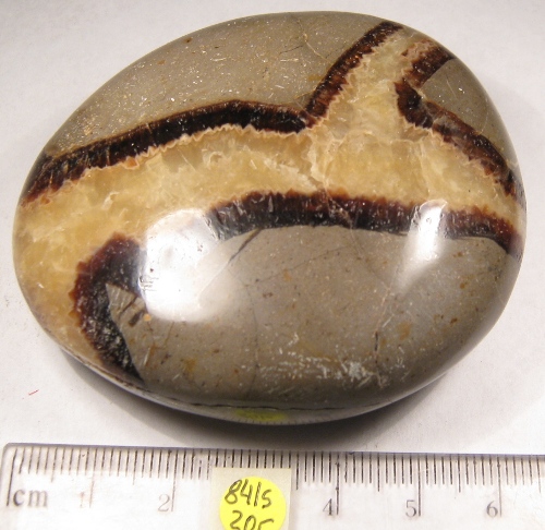 Foto Edelsteine: Septarie Jumbo-Trommelstein
